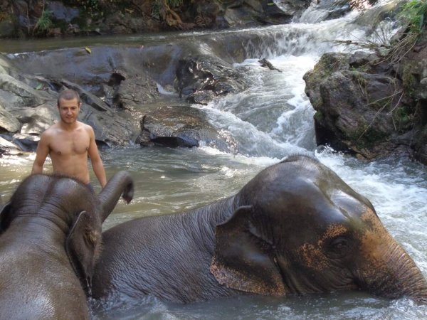Calum Swims with Elephants at sanctuary